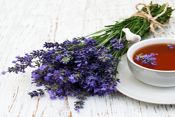 تصویر 4 از قیمت خرید گل گاوزبان معده + فروش ویژه